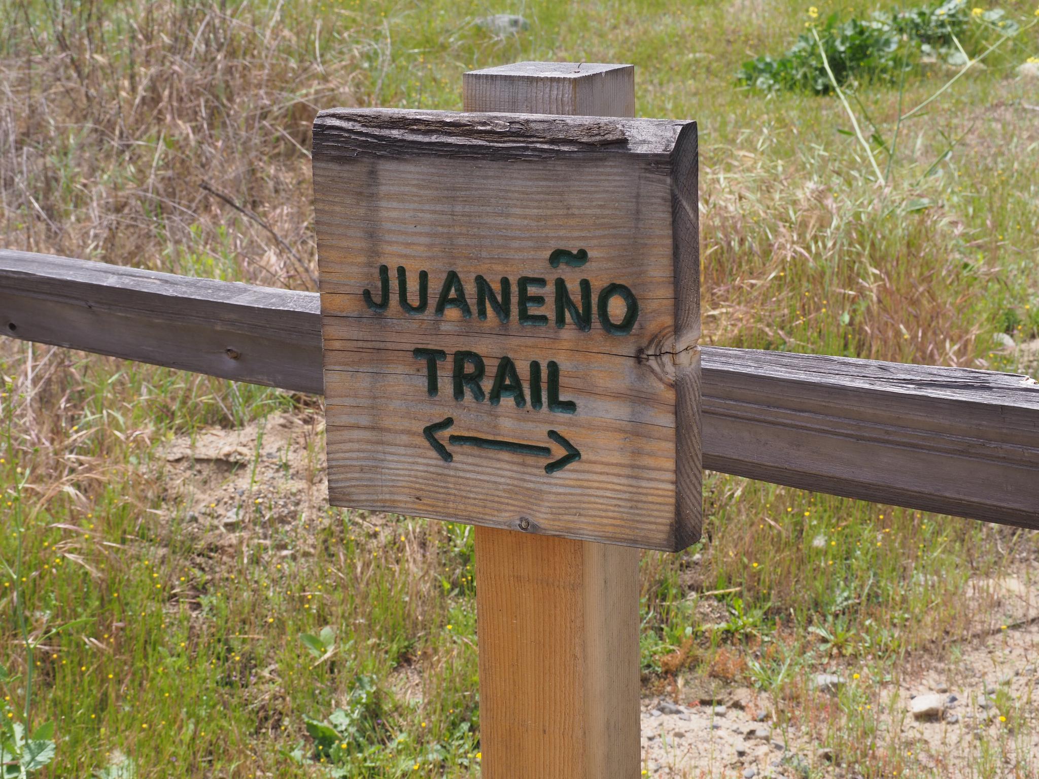 A wooden trail sign with arrows on a sunny, grassy path.