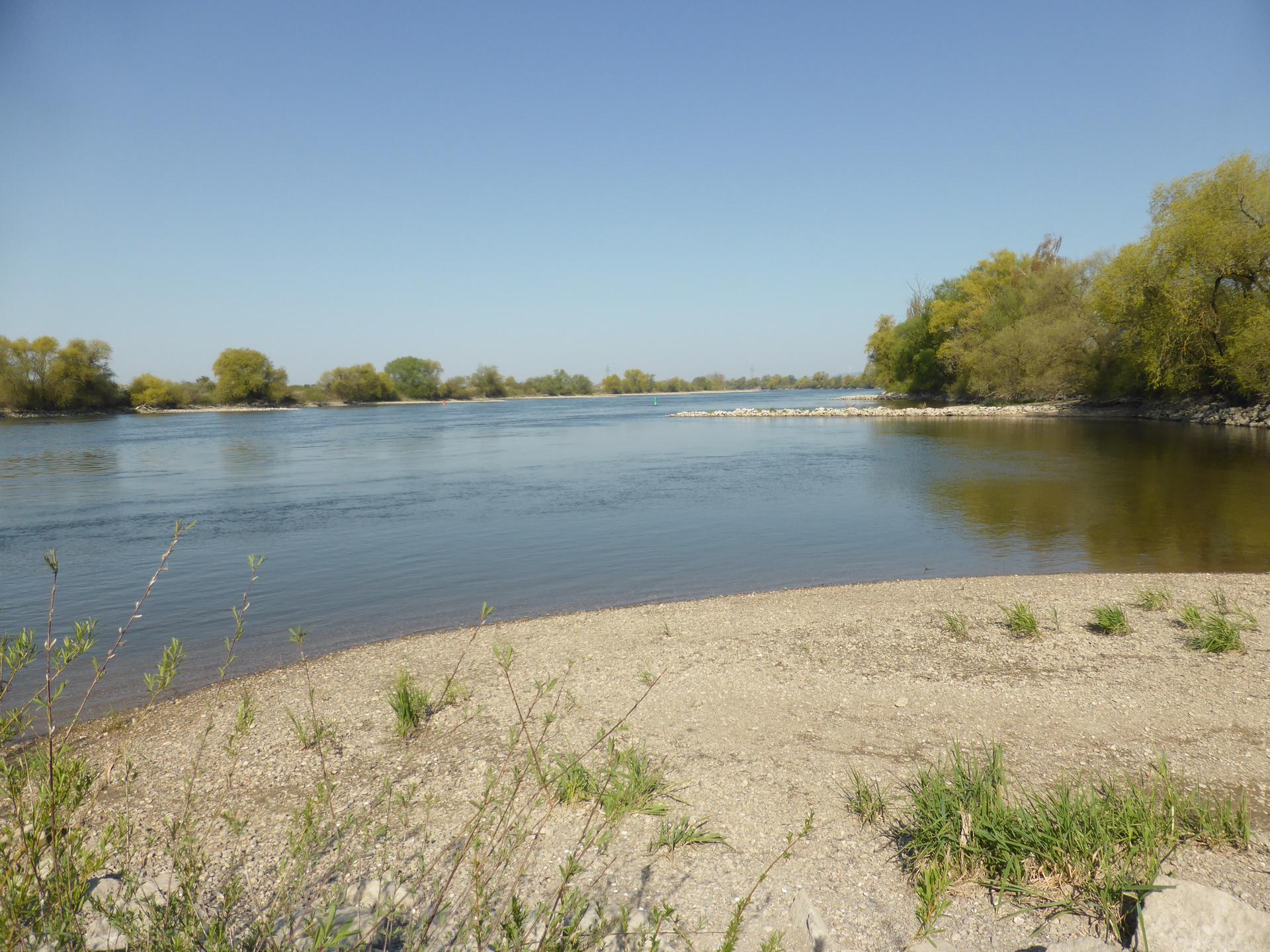 Wide river with a gravel bank under a clear blue sky, trees in distance.