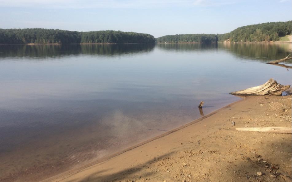 Calm lake with sandy shore, forested hills, and driftwood under bright sky.