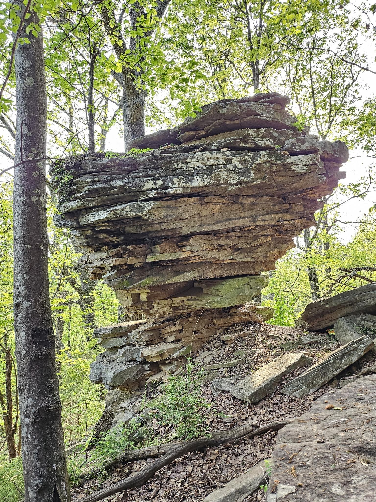 Tall, layered rock formation surrounded by green trees in bright light.