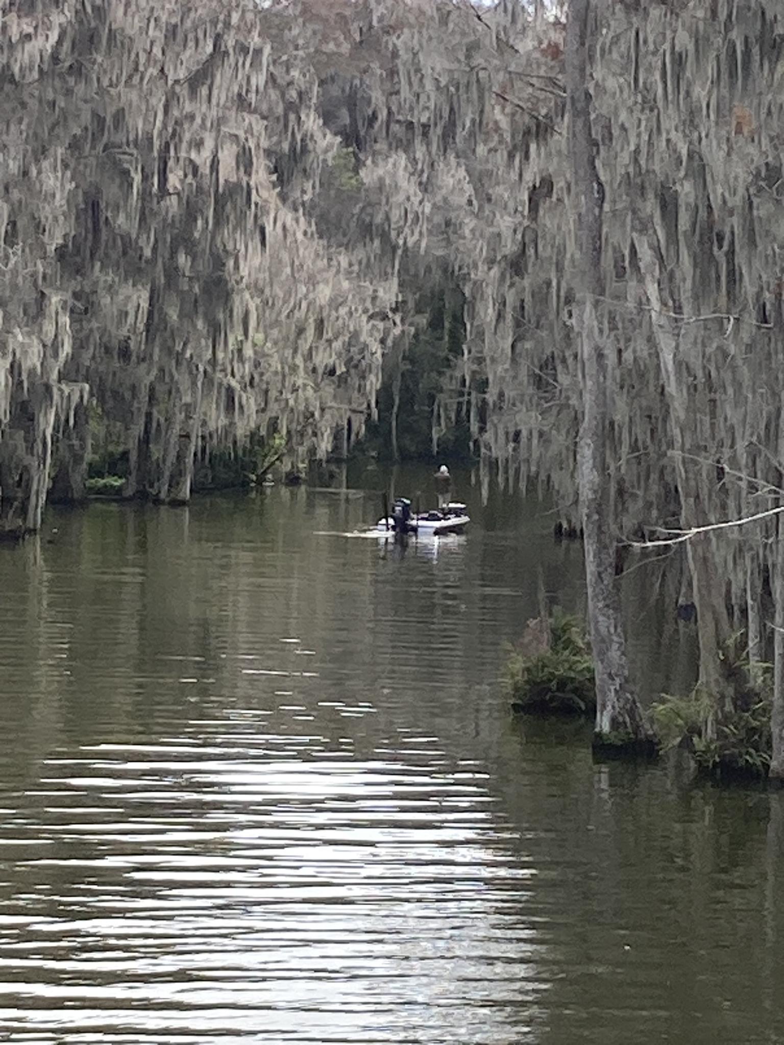 Small boat with people navigating a narrow river lined with moss-draped trees.