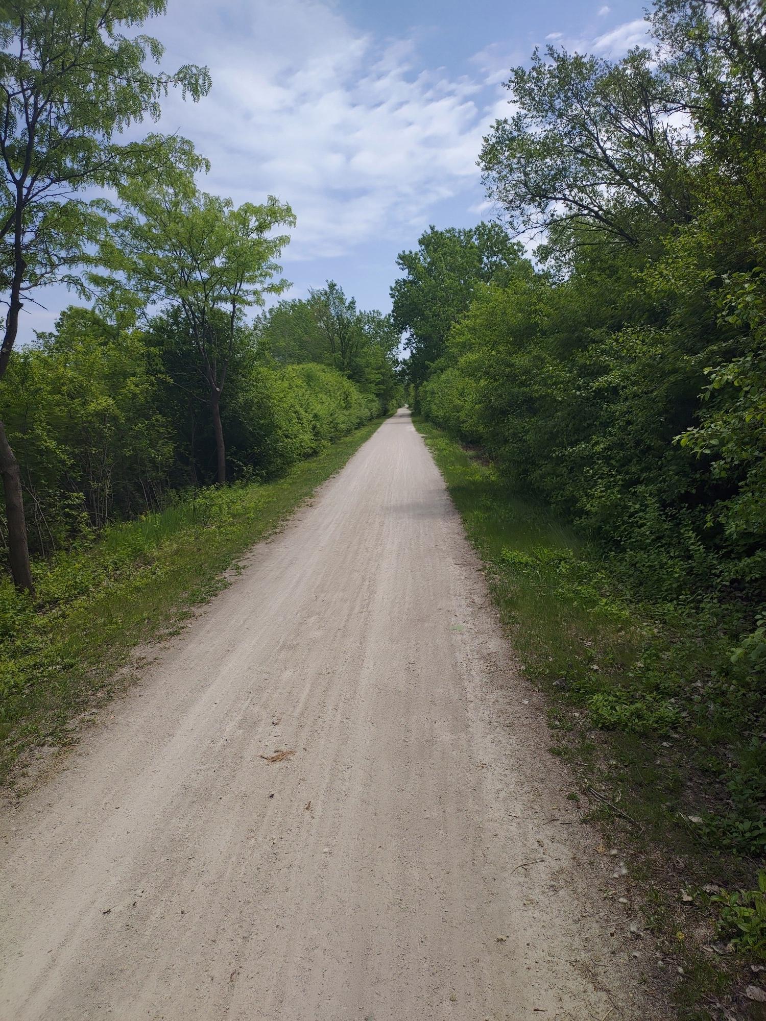 A long, straight dirt path through green trees under a bright sky.