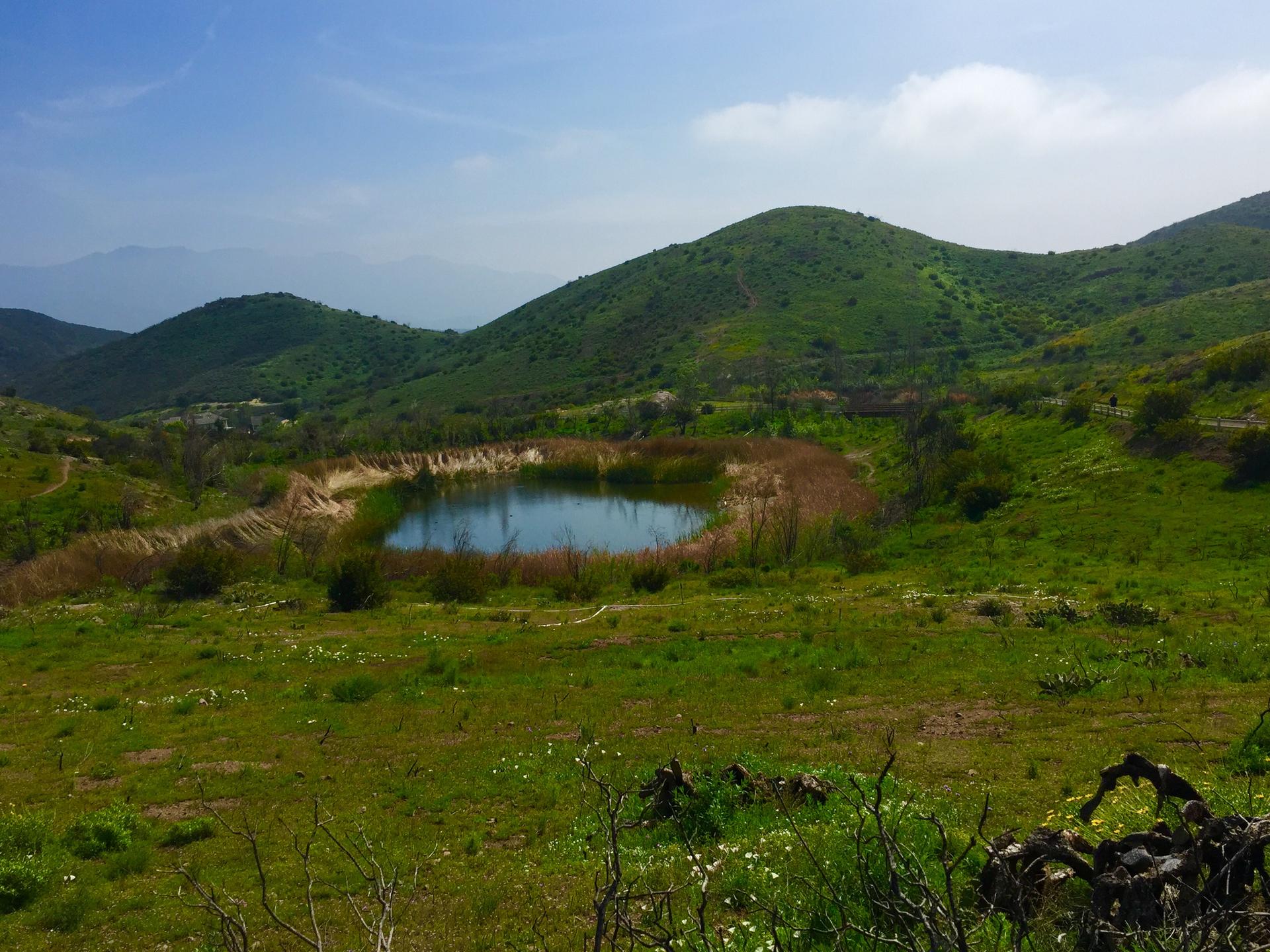 A small pond sits nestled among lush green rolling hills under a bright sky.