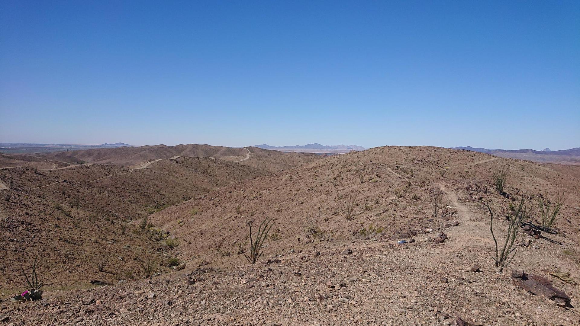A winding trail traverses arid, rocky desert hills under a bright blue sky.