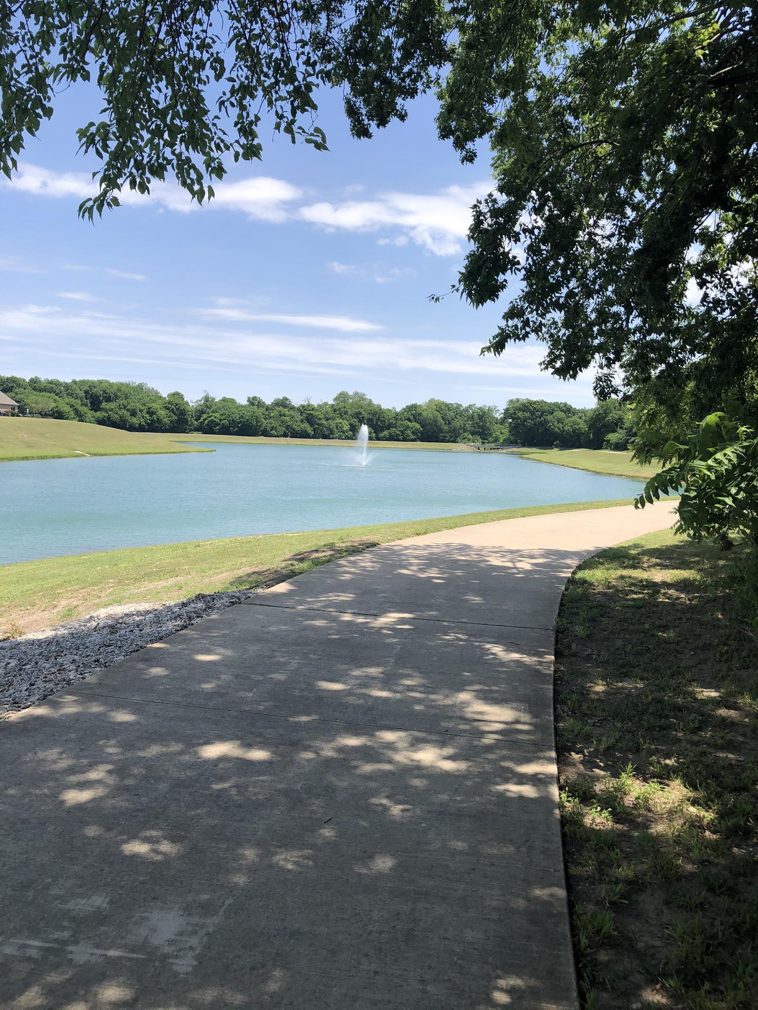 Paved path with dappled shadows beside a blue lake with a fountain.