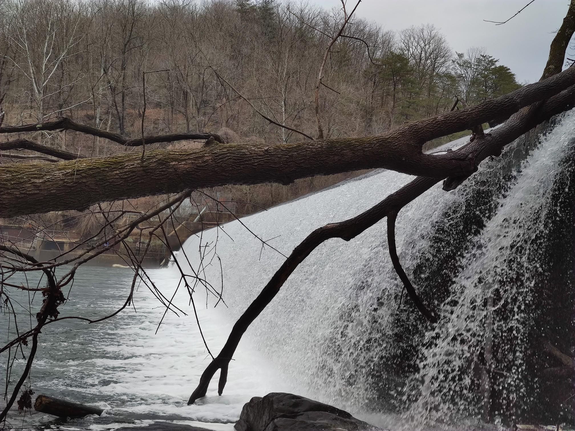 A fallen tree branch frames a wide waterfall and bare trees under an overcast sky. - Alberton Road to Daniels Dam