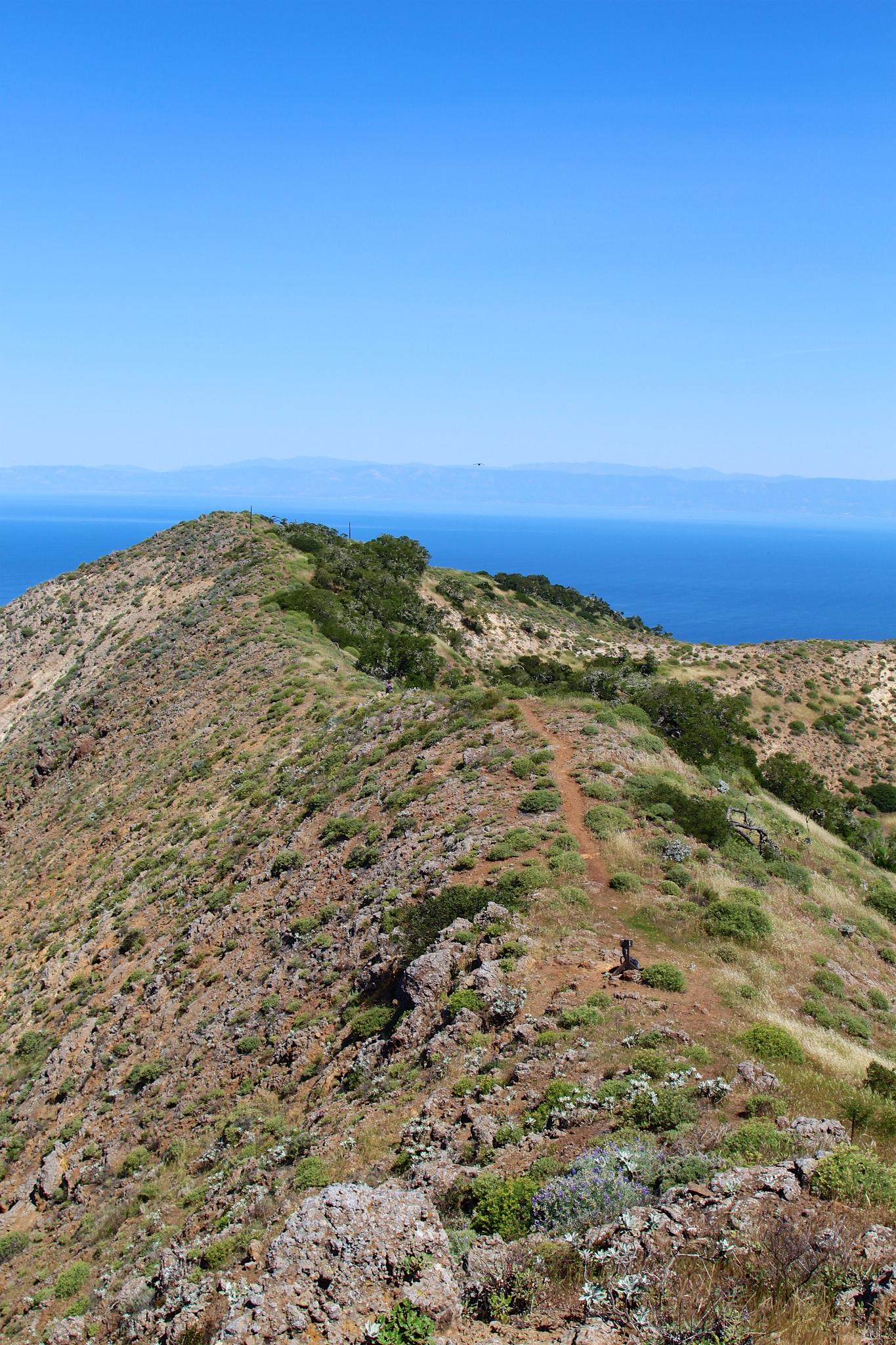 Sunny hillside trail overlooking a vast blue ocean under a clear sky.