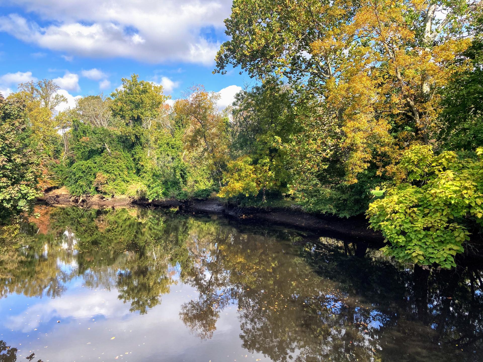 Lush trees with autumn colors reflecting in calm river under a bright sky.