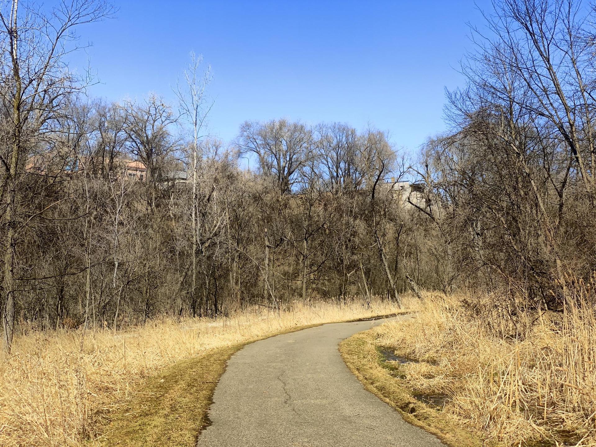 Winding paved path through dry grass and bare trees under a clear sky.