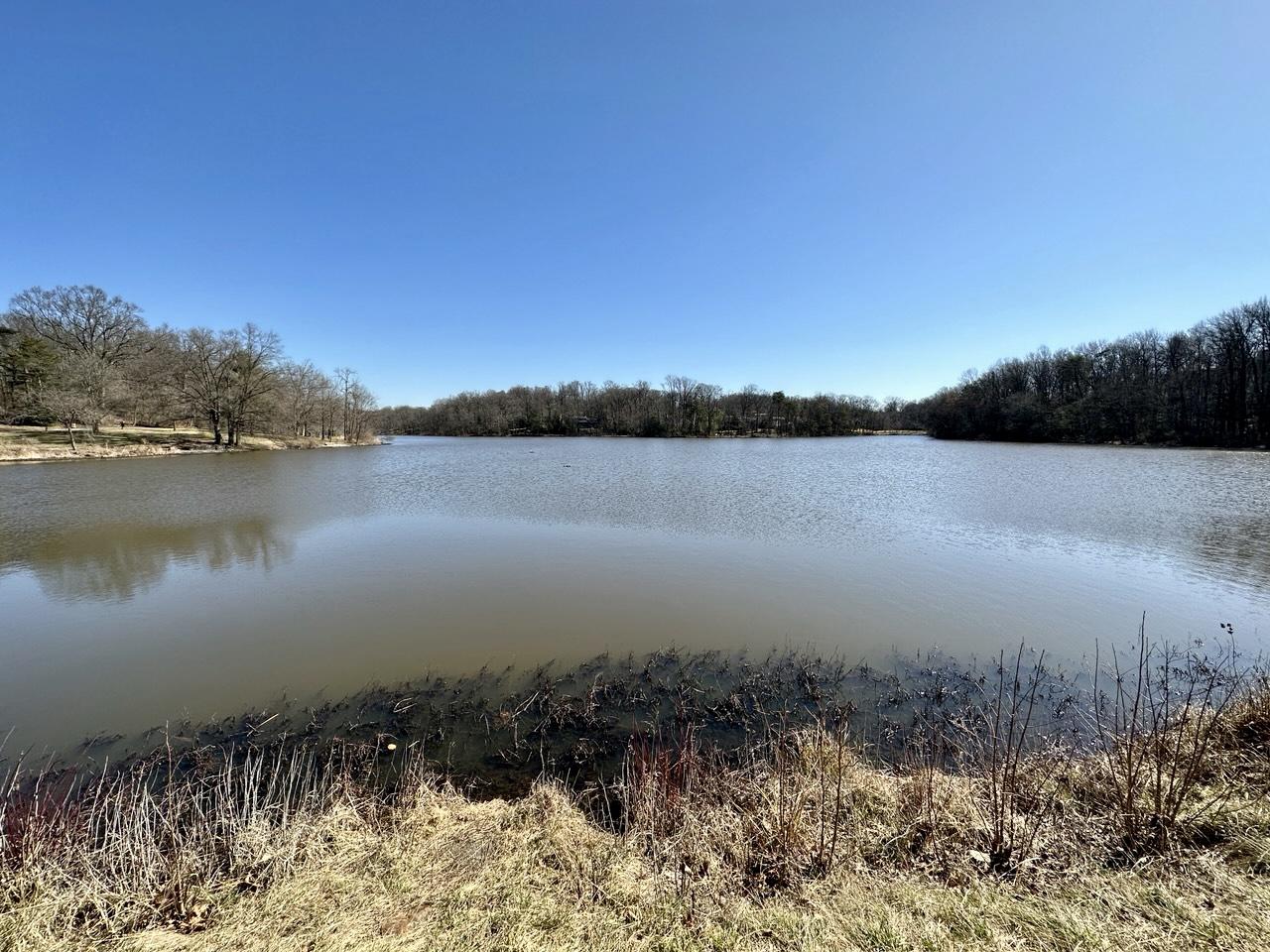 A wide, calm lake surrounded by bare trees under a bright blue sky.
