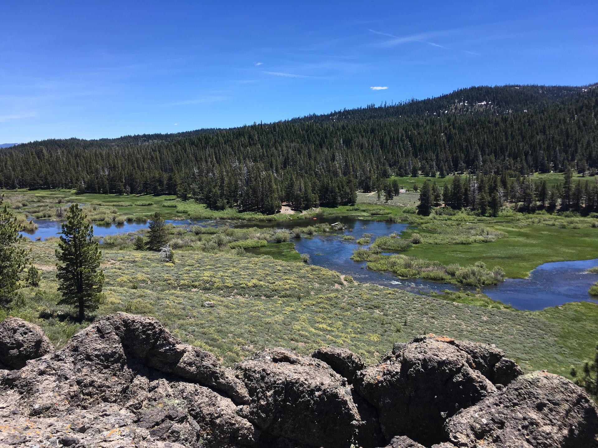 Sunny mountain valley with winding wetlands, dense pine forest, and rocky foreground.