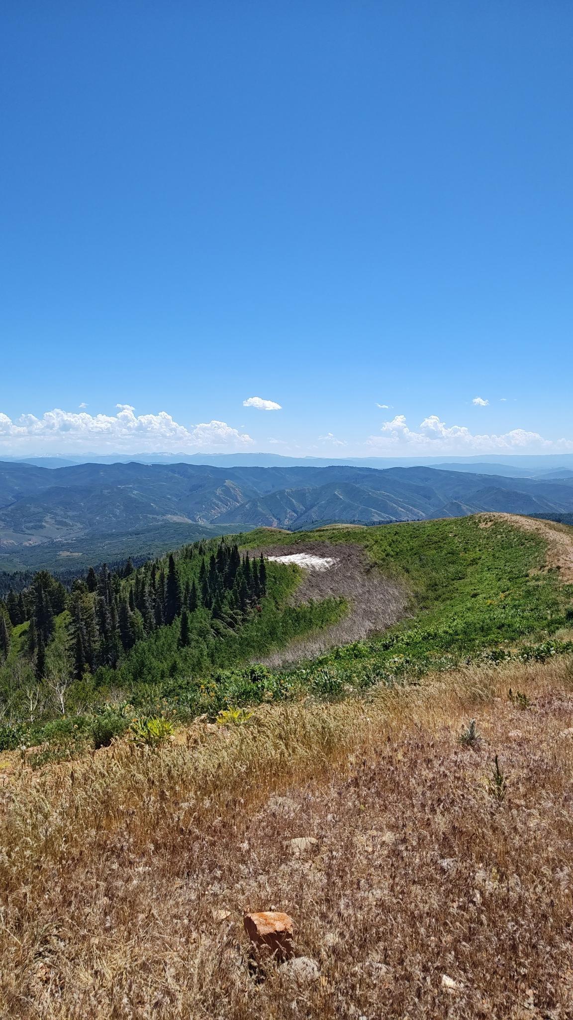 Bright mountain landscape with forested slopes, dry grass, and a distant snowy patch.