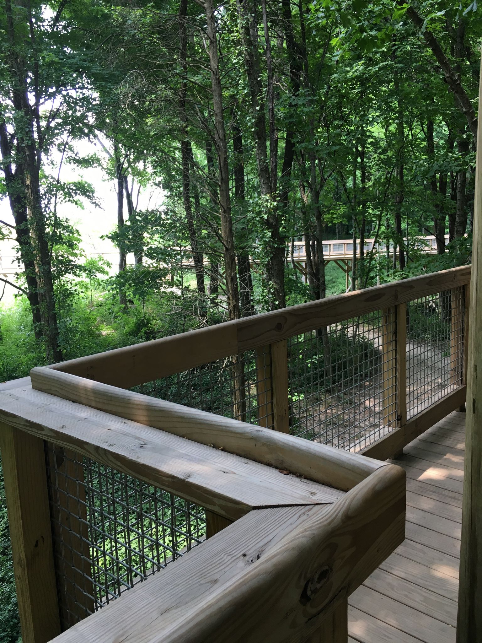 Wooden boardwalk railing in a sunny forest, overlooking water and a distant bridge. - Flat Fork Creek Park loop run