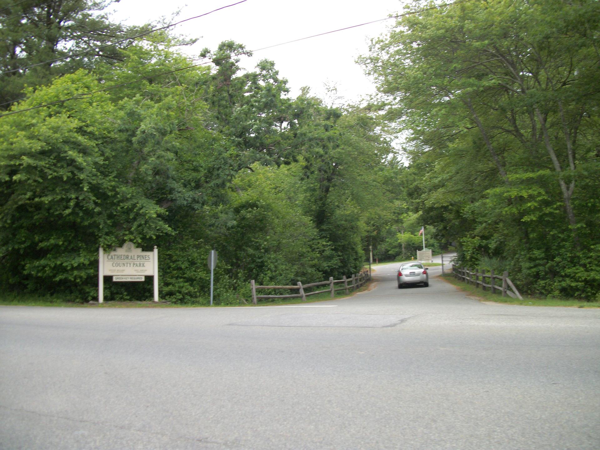 A car drives on a paved road surrounded by dense green trees and a sign.