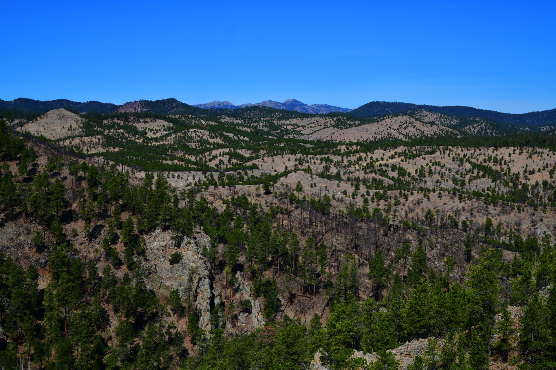 Sunny view of rolling, forested hills with rocky outcrops under a clear blue sky.