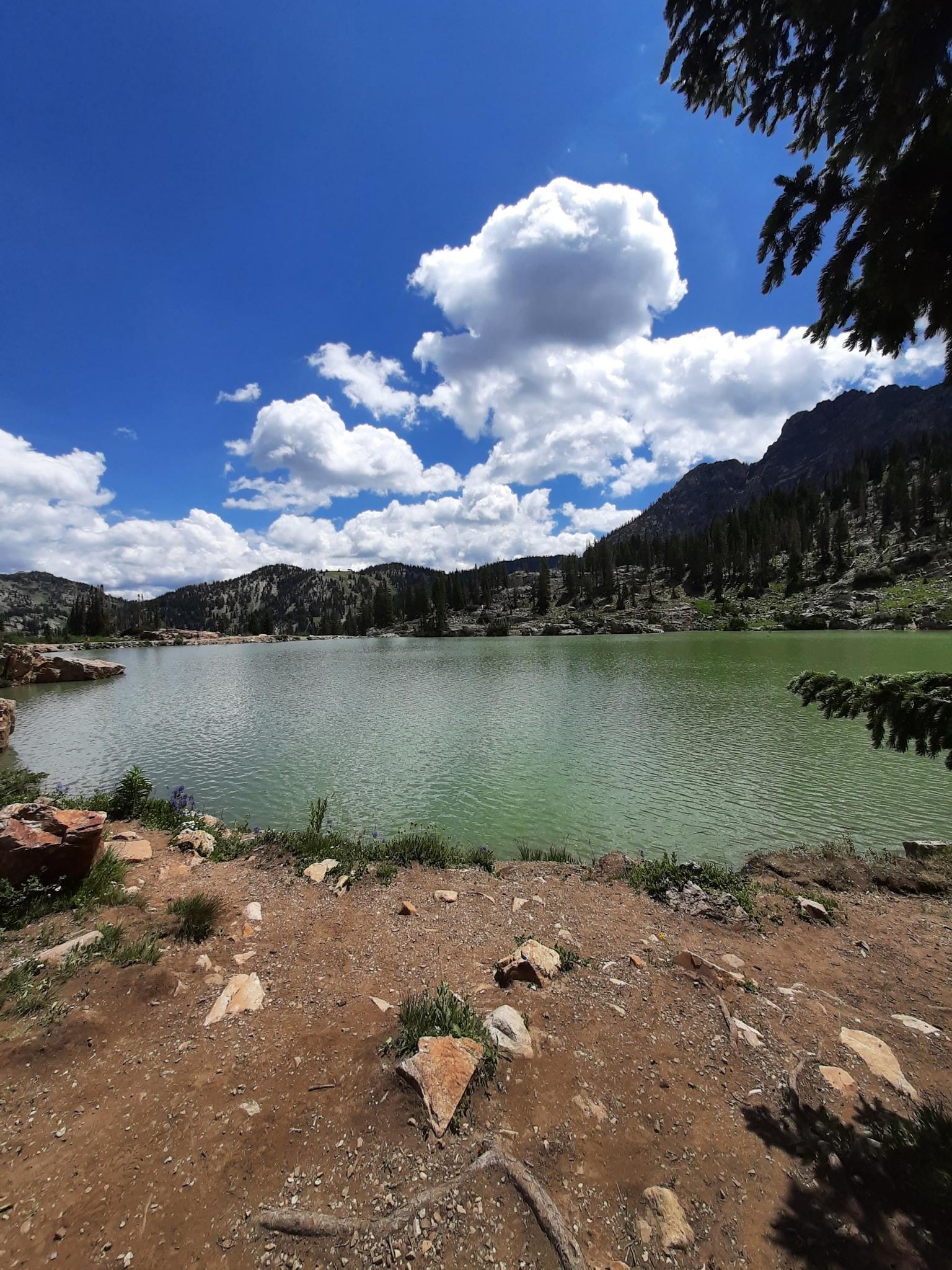 Green-tinted mountain lake with rocky shores and pine trees under a blue sky.