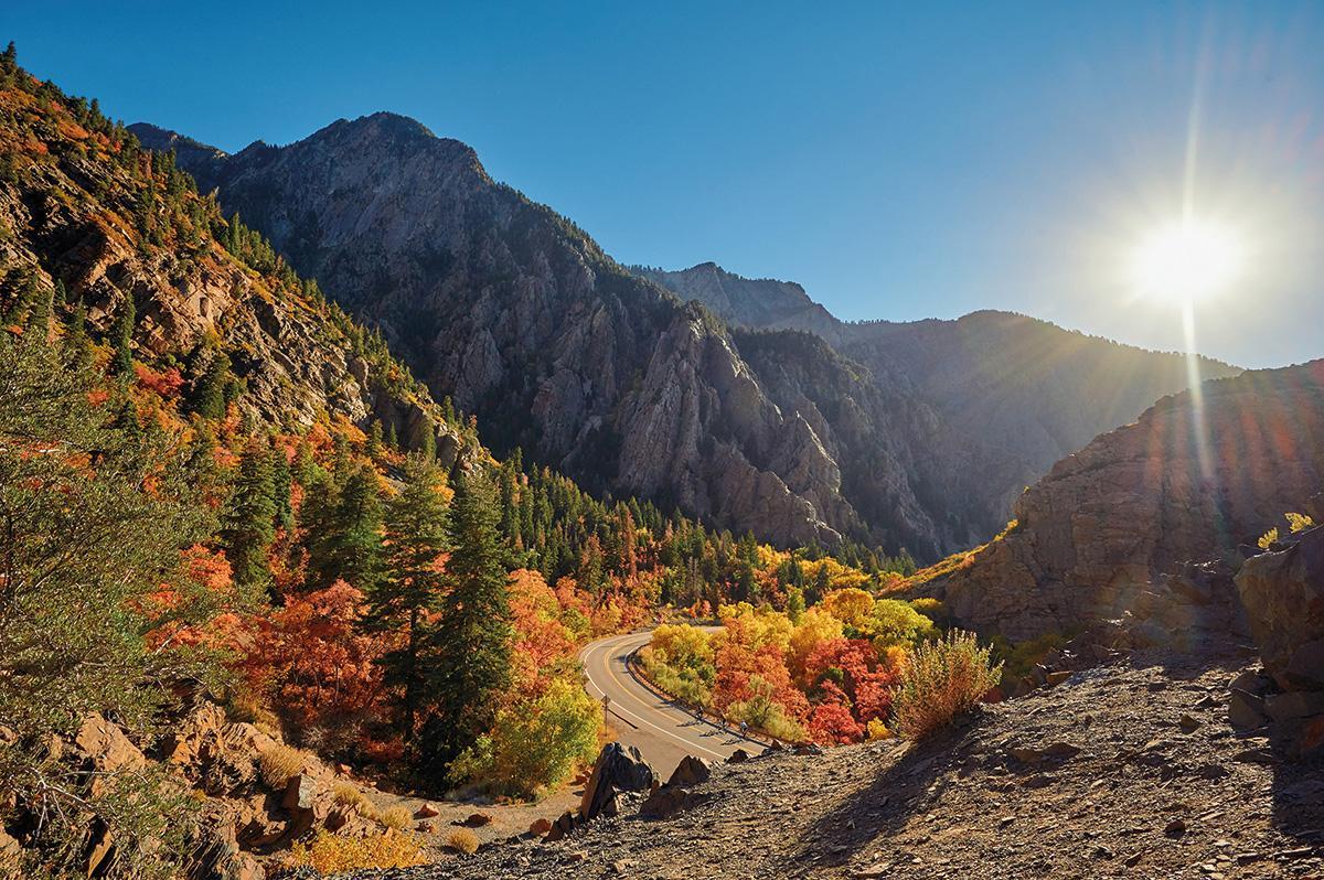 Scenic mountain road winding through vibrant autumn foliage under a bright sun.
