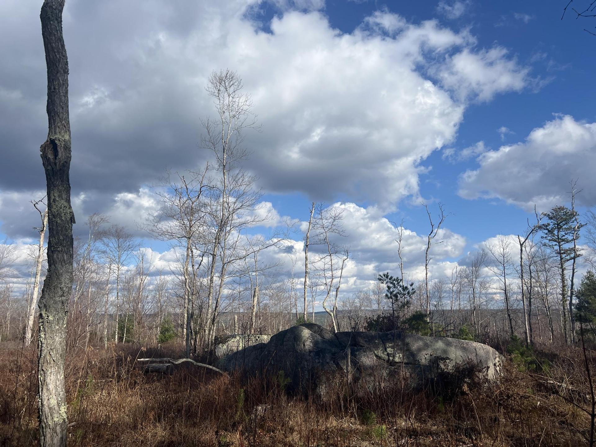 Large boulders and bare trees under a dramatic cloudy sky.