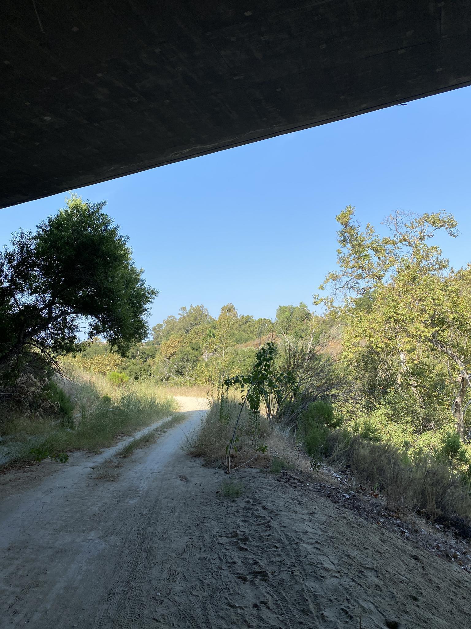A dirt path emerges from under a bridge into a sunny, tree-lined landscape.