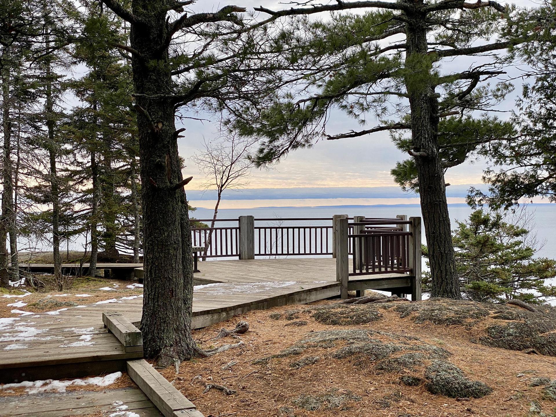 Wooden observation deck surrounded by pine trees, overlooking a vast body of water.