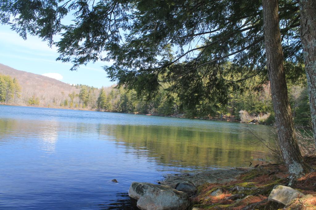 Sunny lake with reflections, framed by evergreen trees and distant hills.
