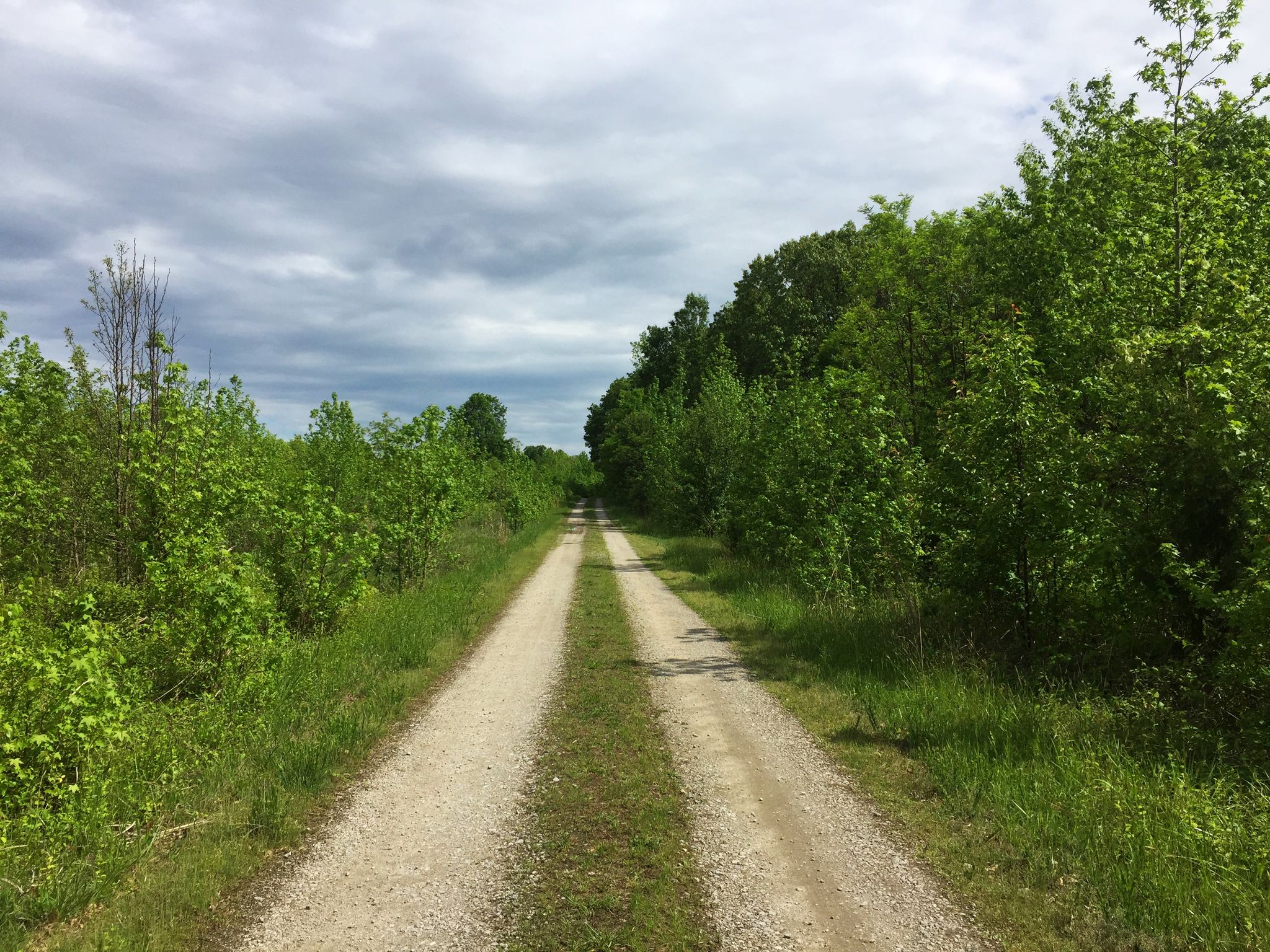 A dirt road with green grass and lush trees under a cloudy sky. - Deep Hole Point Road & Charlie Road loop
