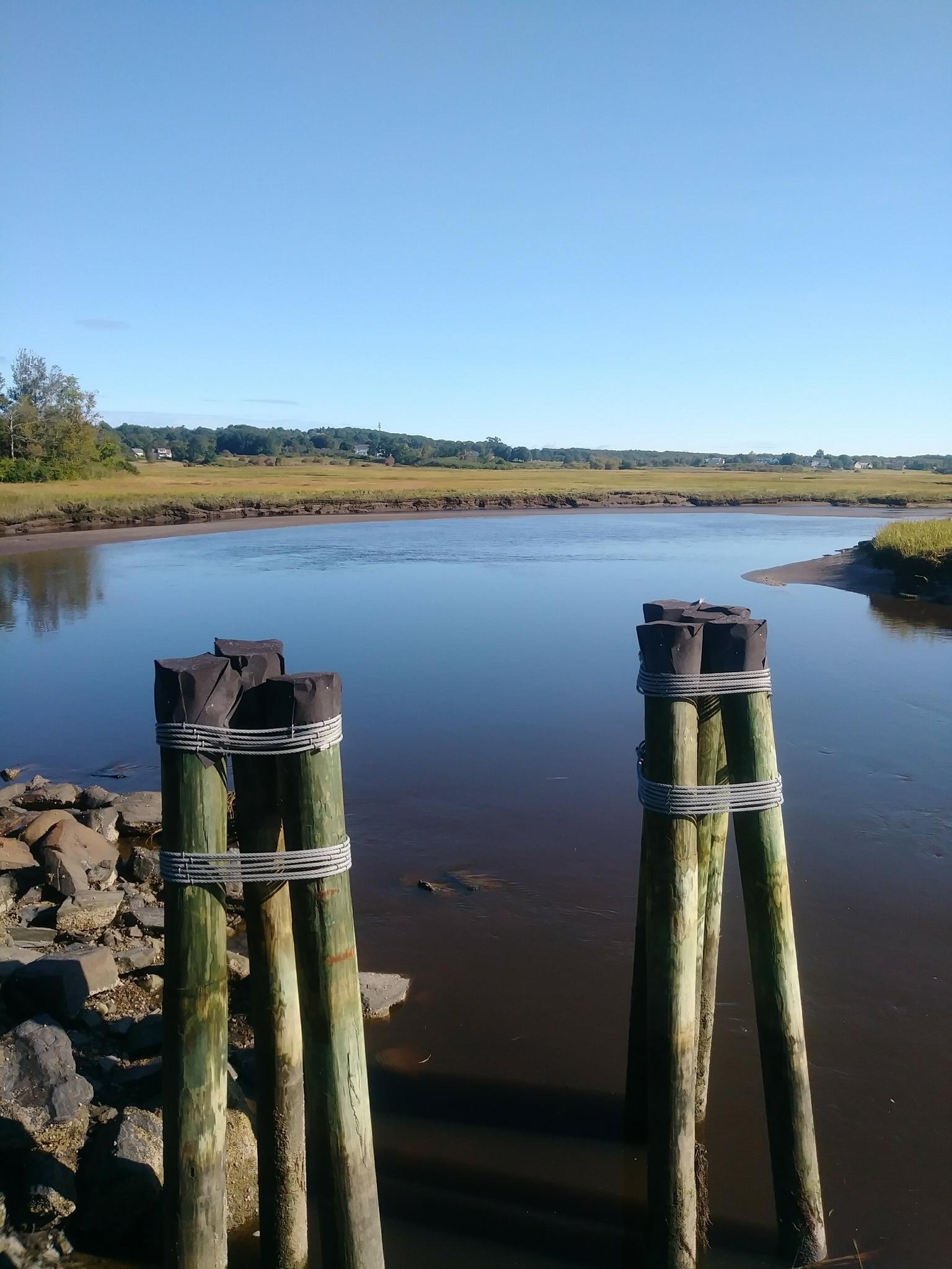 Two wooden pilings in muddy river with marshland under clear sky.