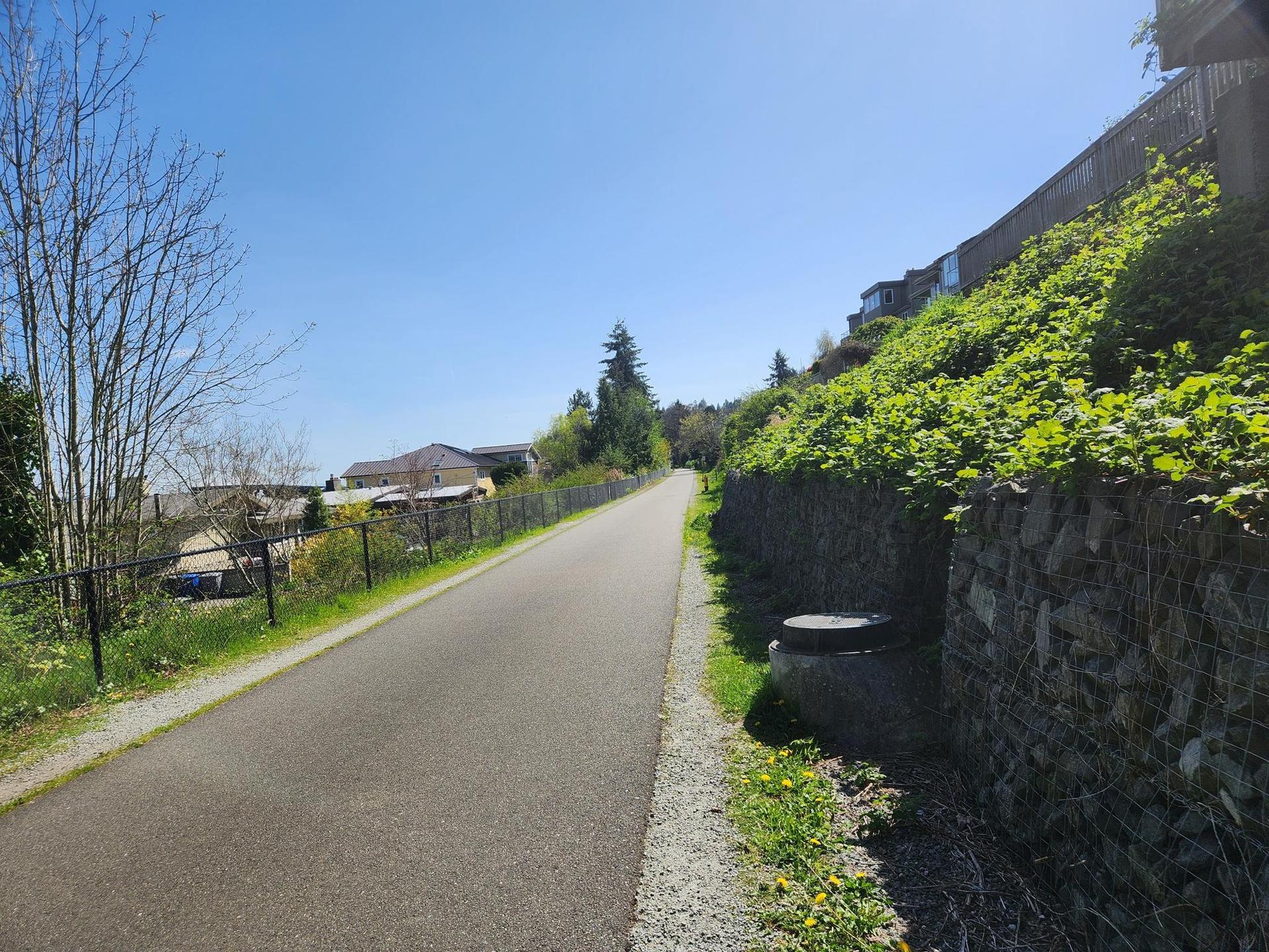 Sunny paved path ascending alongside a green, terraced hillside.