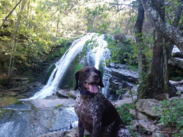 Roaring Run Natural Area loop via the Roaring Run Trail | Wanderung ...