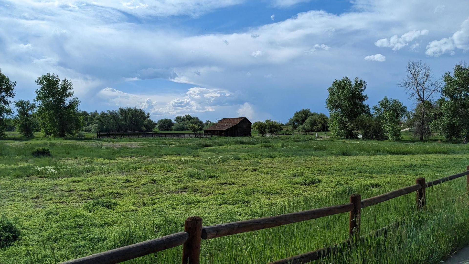 Green field with a distant barn and trees under a bright, cloudy sky.