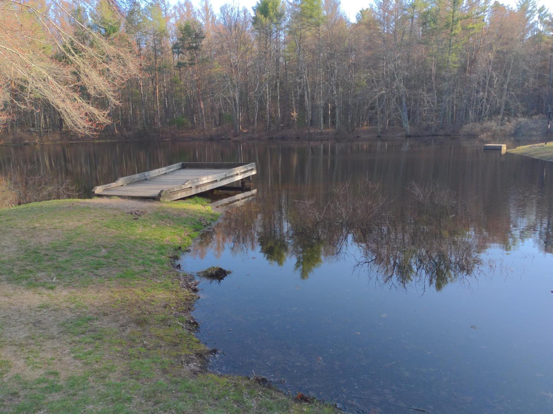 A wooden platform juts into a still lake, reflecting a bare forest.