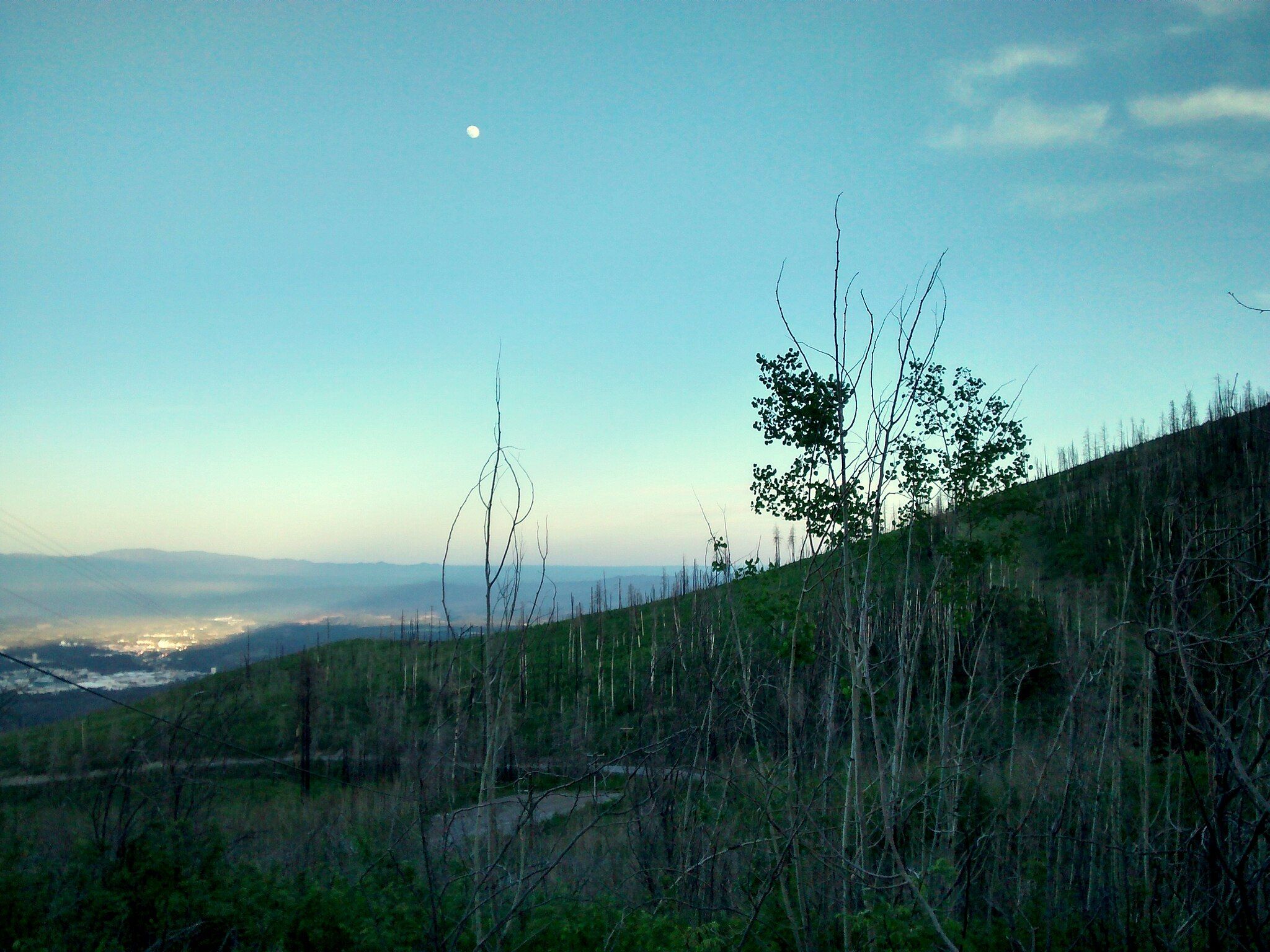 Moon over a hillside with sparse trees and a distant valley at dusk. - Nail Trail Loop