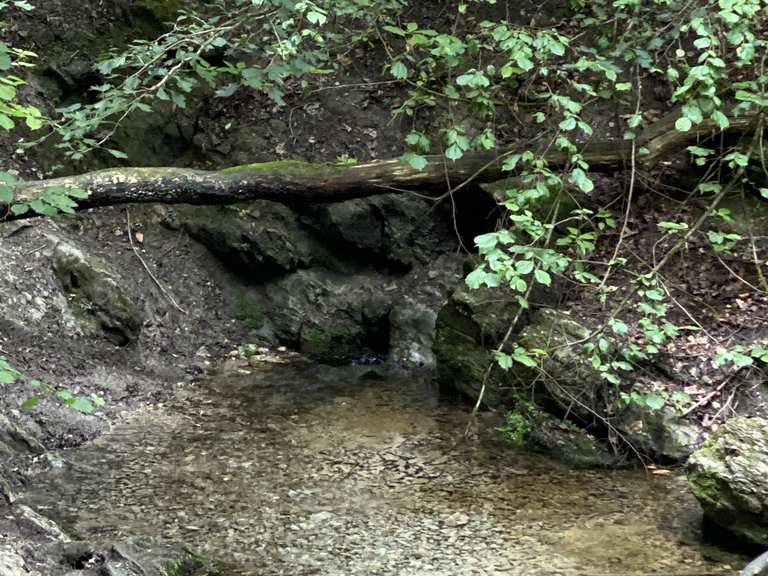 Donoper Teich Rethlager Quellen Runde von Kussel Wanderung Komoot