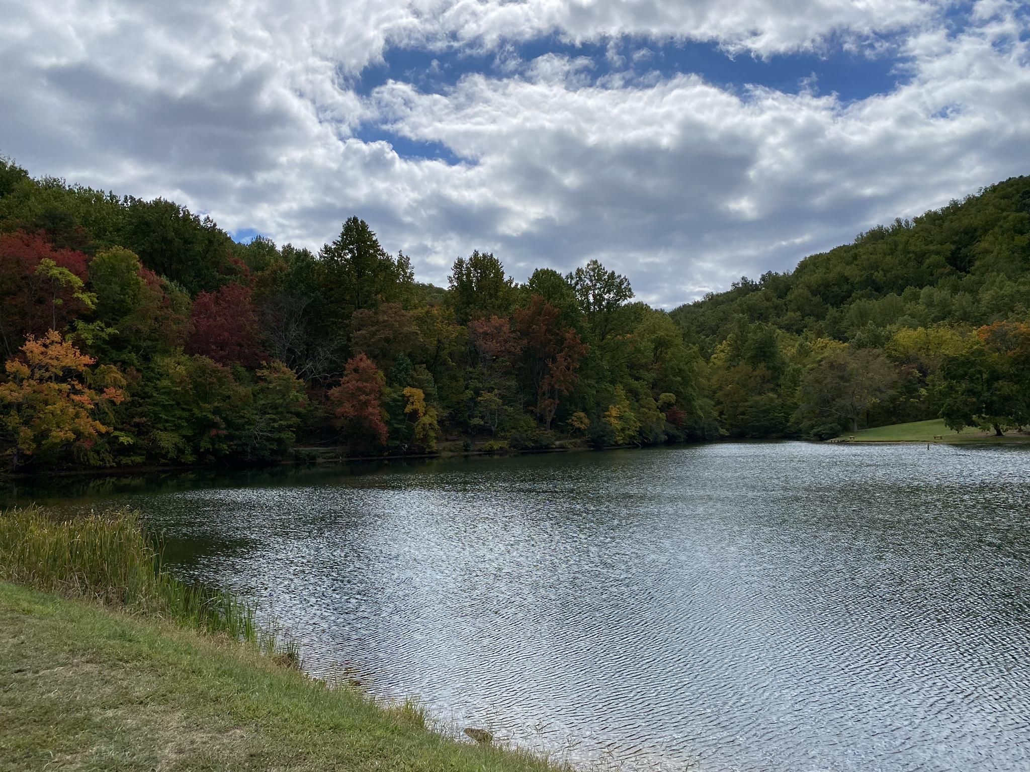 A lake surrounded by hills with colorful autumn trees under a cloudy sky. - Mint Springs Upper Lake – View of Blue Ridge Lake loop from Crozet