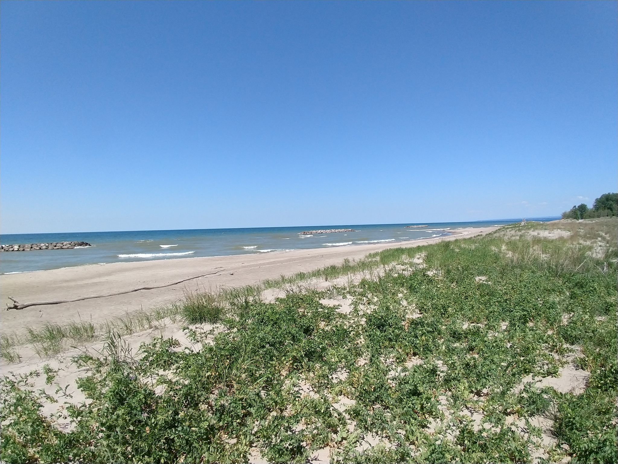 A sunny beach with green vegetation, sand, and calm blue water. - North Pier Trail