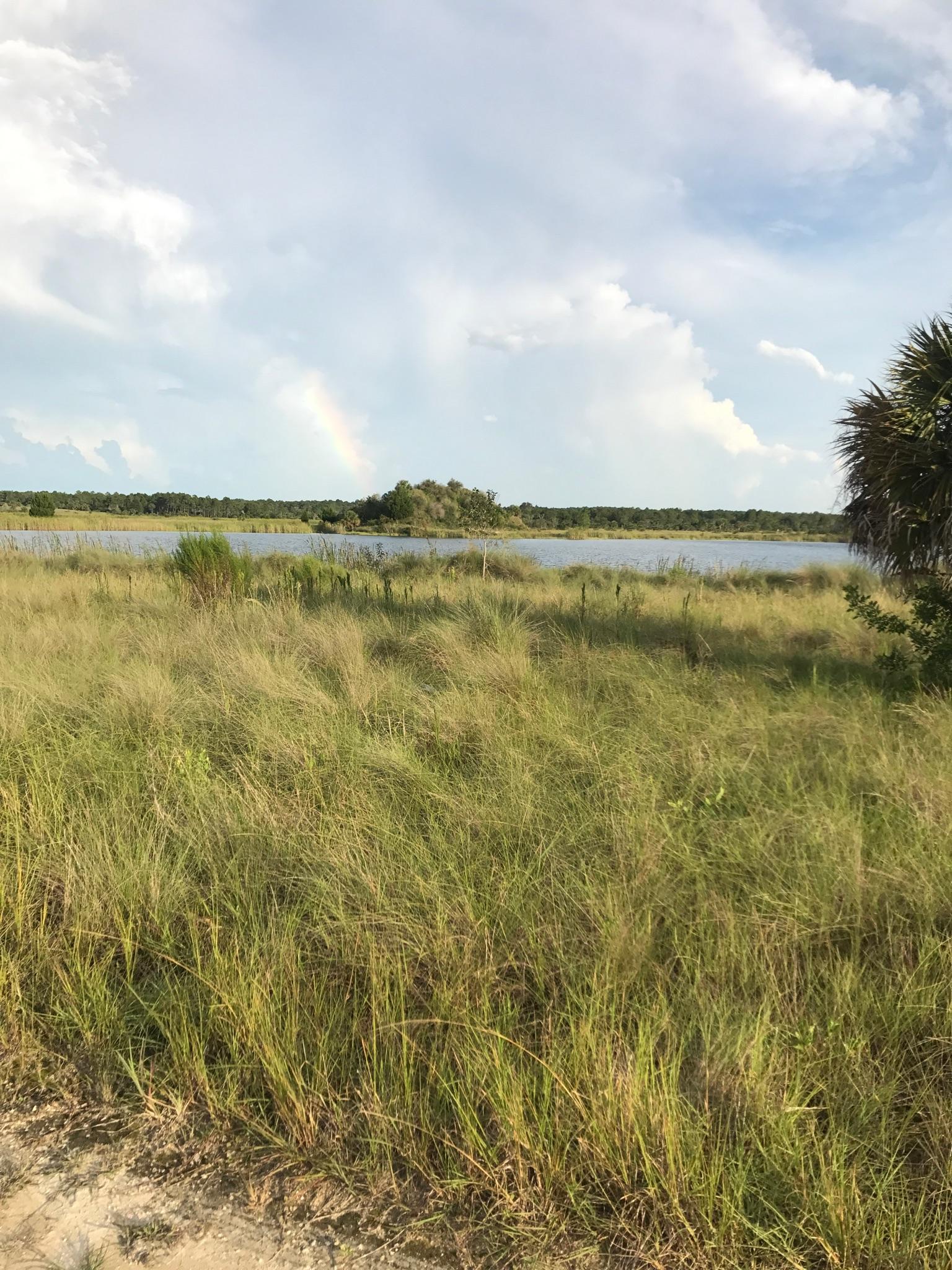 Grassy field, calm water, distant trees, and a faint rainbow under a cloudy sky.