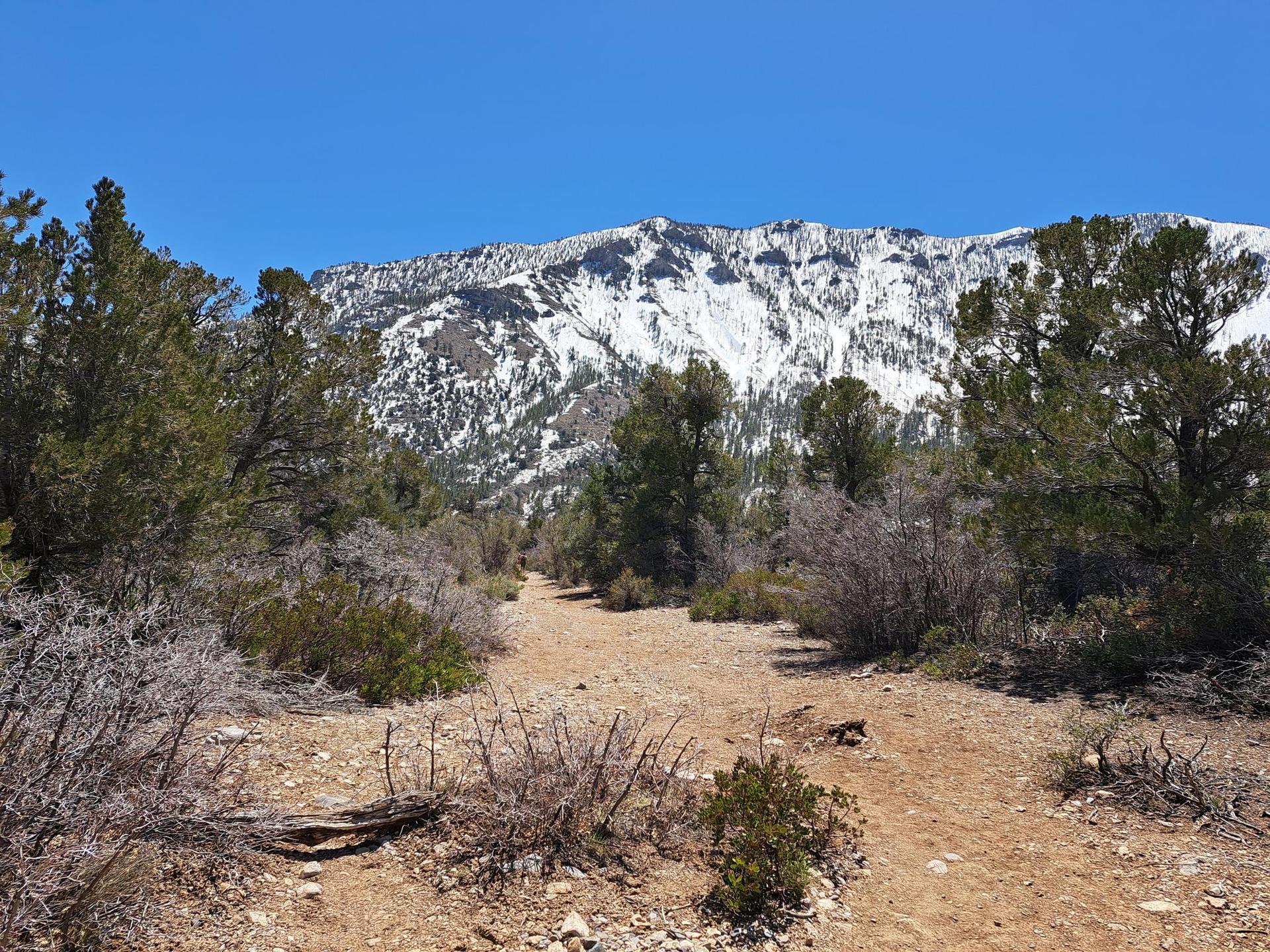 Dirt path leading towards a large snow-capped mountain under a clear sky.