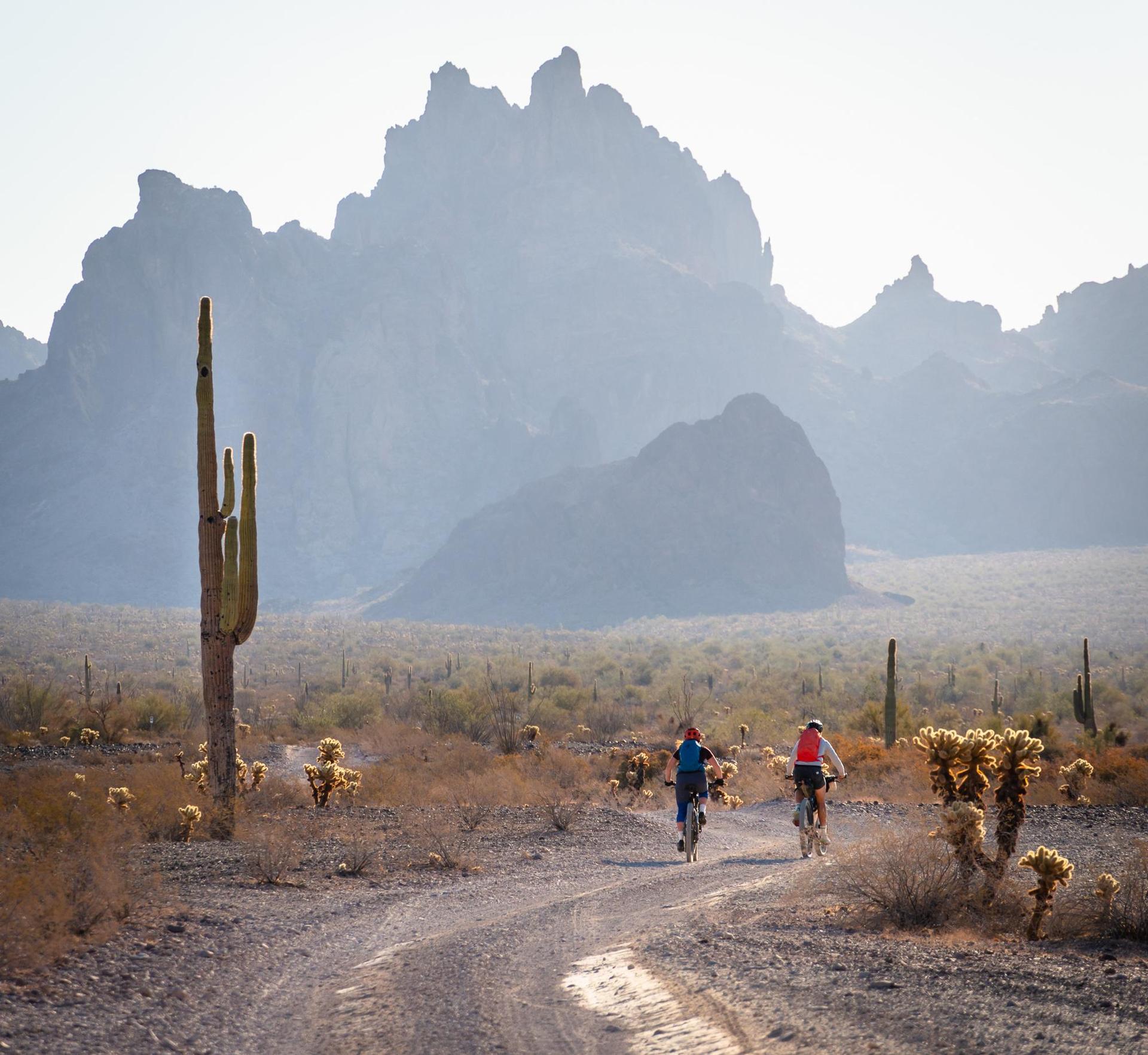 Two people mountain biking on a desert path with saguaro and mountains.