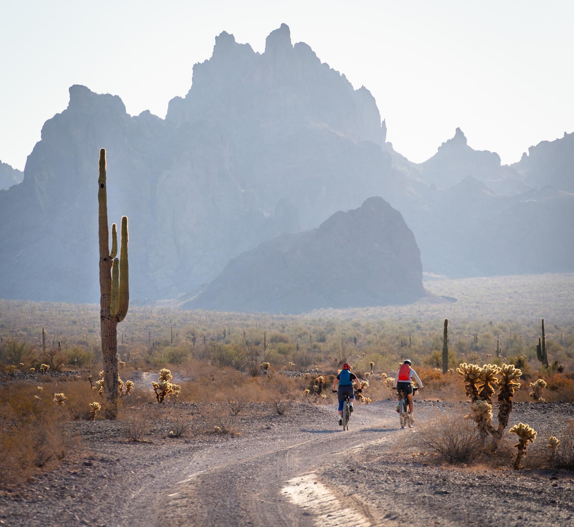 Two people mountain biking on a desert path with saguaro and mountains. - Skull Rock via Kofa Queen Canyon Road