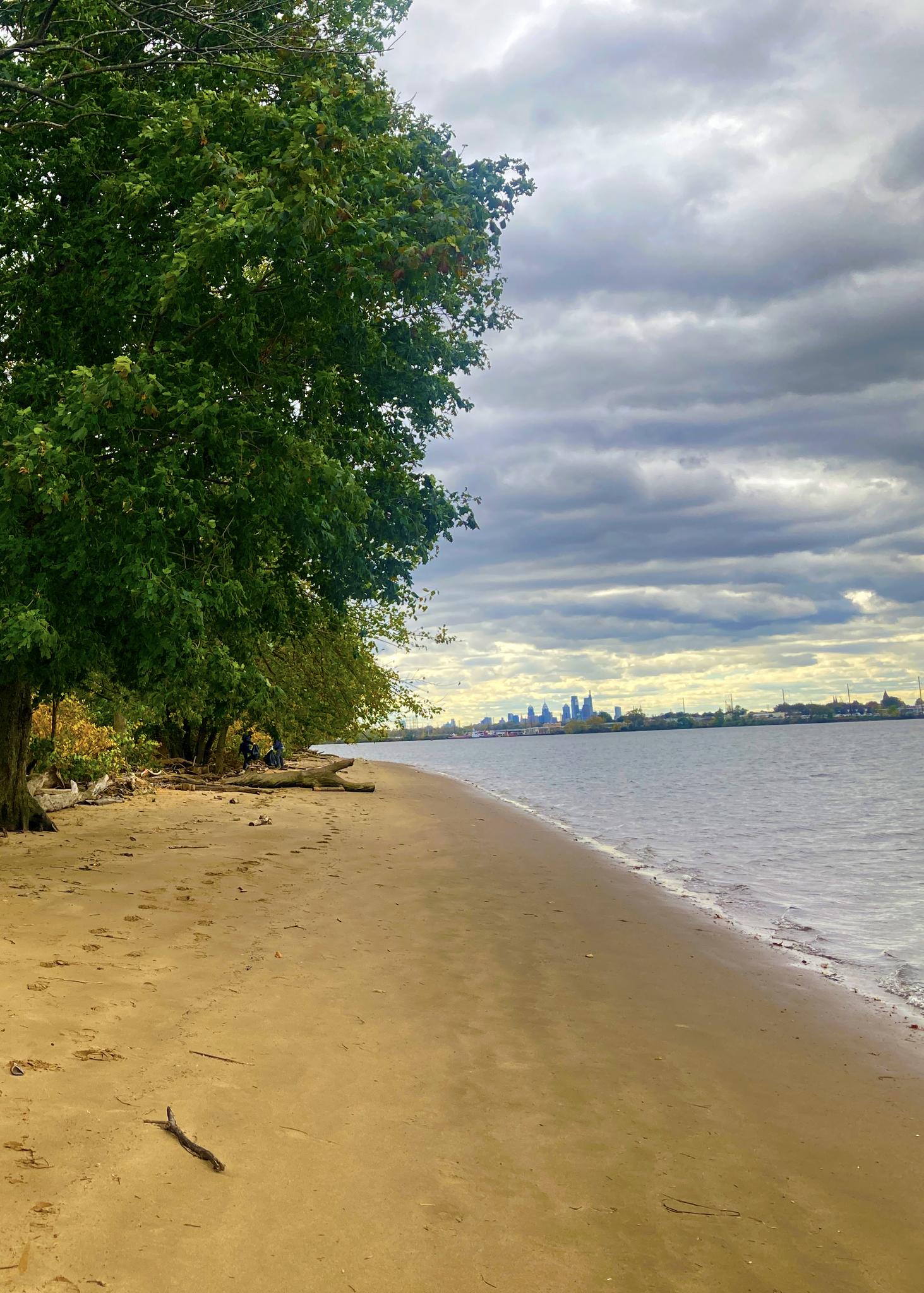 Sandy beach with green trees, calm water, and a distant city under cloudy skies.