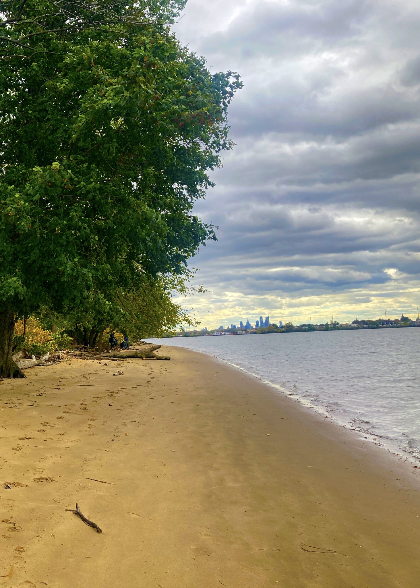 Sandy beach with green trees, calm water, and a distant city under cloudy skies. - Cove Trail