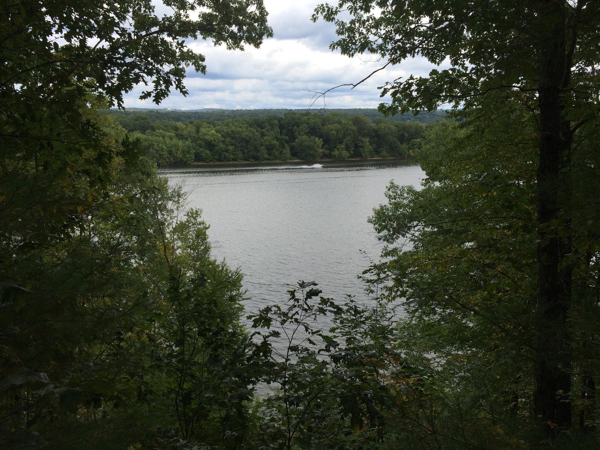 Overcast view of a wide river with forested banks and a distant boat.