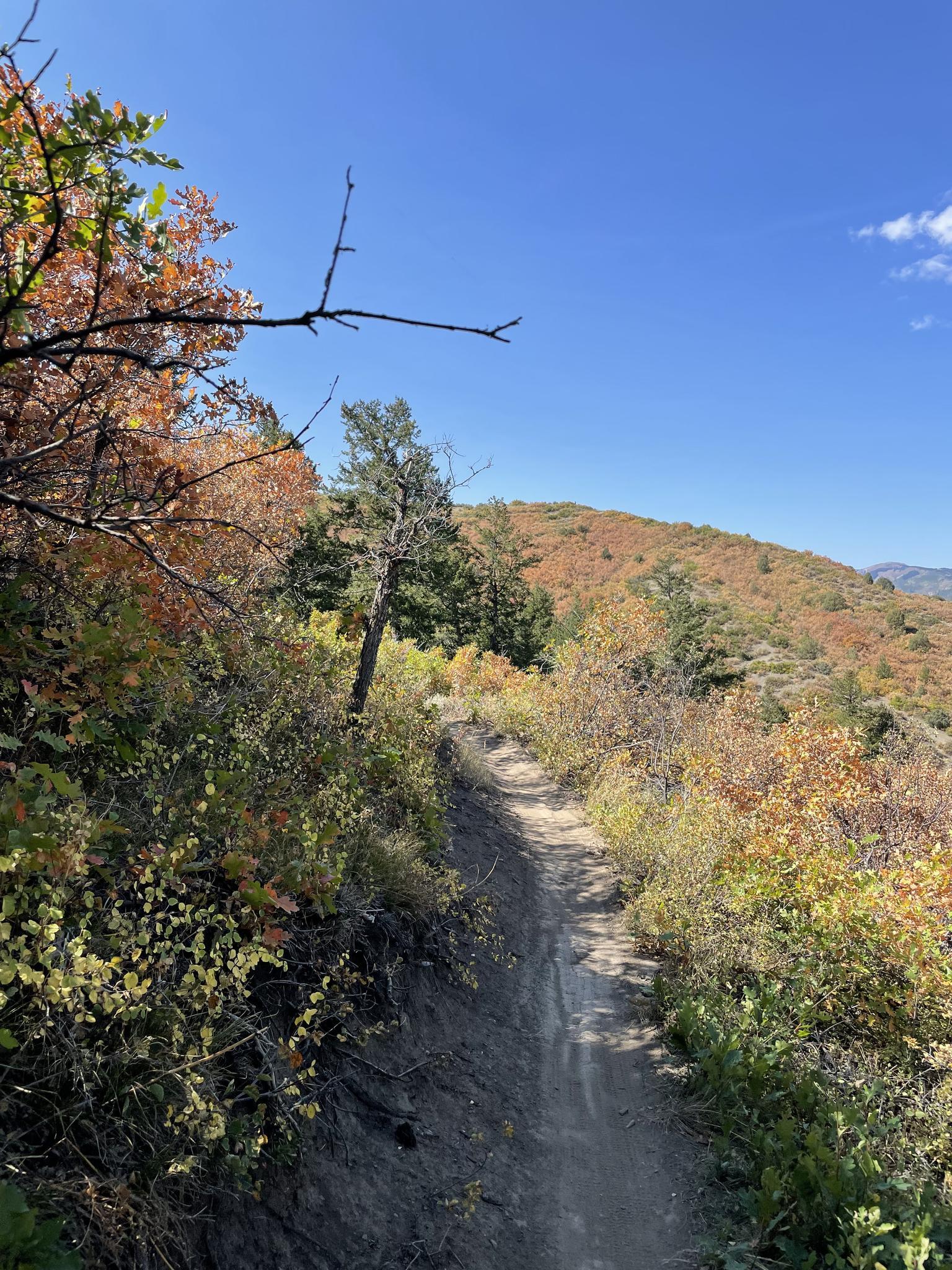 A narrow dirt trail winds through sunlit autumn mountain foliage under a clear sky.