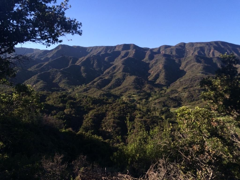 Rugged, green mountains and a forested valley under a clear blue sky. - Rice Canyon and Wills Canyon Loop