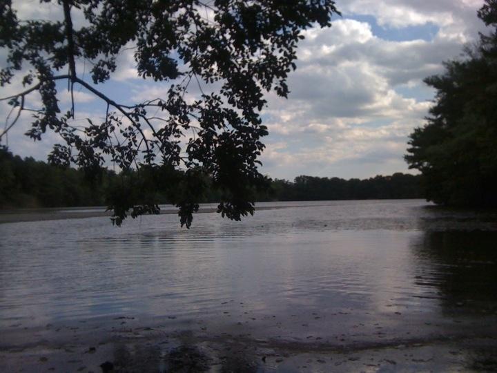 Calm lake under cloudy sky, framed by dark tree branches.
