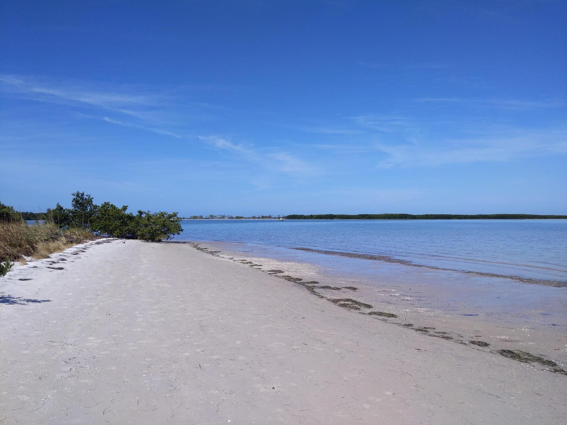 Sandy beach next to calm blue water under a clear sky.