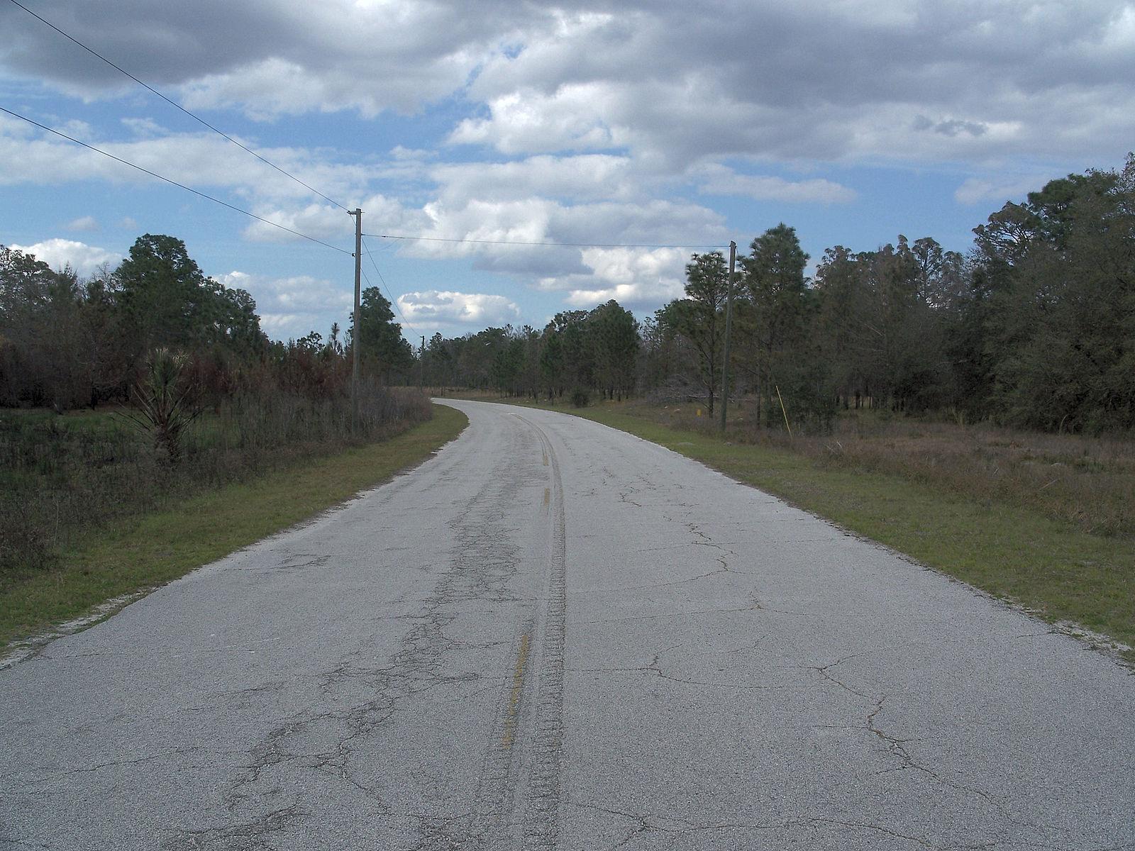 A winding, empty paved road stretches through a wooded, overcast landscape.