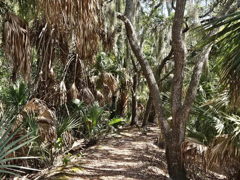 Emerson Point Reservat: Wanderungen und Rundwege | komoot