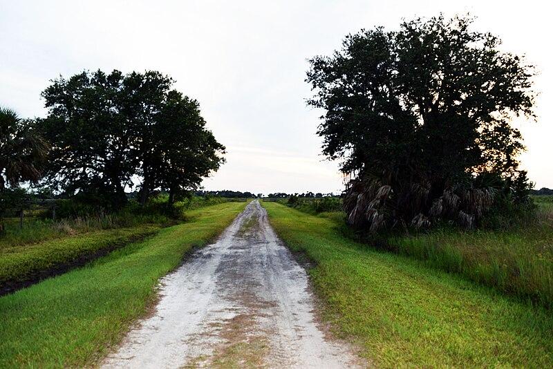 A long, straight dirt road through green fields with large trees.