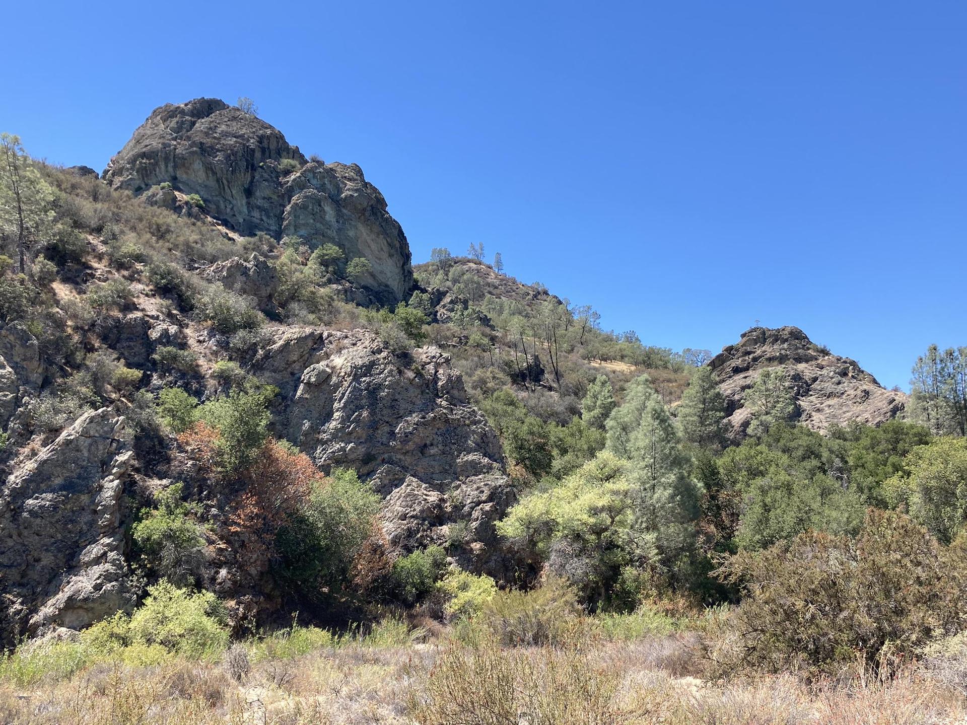 Towering rocky outcrops dominate a sunny, green hillside under a clear blue sky.